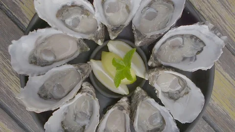 Plate of oysters Stock Footage 74094351