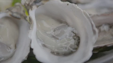 Plate of oysters Stock Footage 74098984