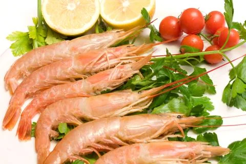 Plate with prawns Stock Photos