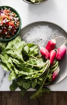 Plate of radishes with sea salt and pico de gallo Stock Photos