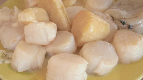 Plate of Raw Scallops in 4k Stock Footage 99005819