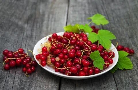 Plate with red currant Foto stock