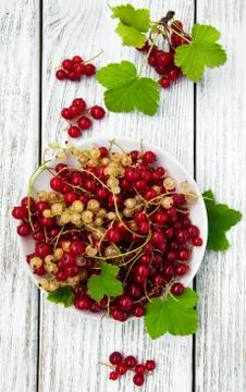 Plate with red currant Stock Photos