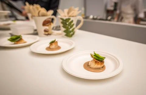 Plate with salmon dish Stock Photos