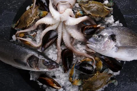 Plate of seafood Stock Photos