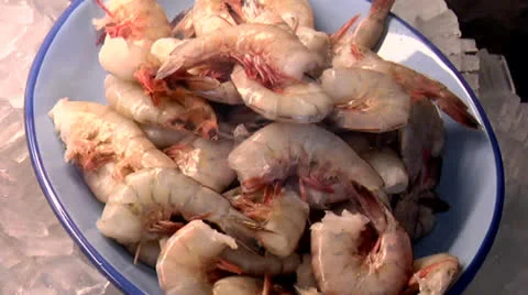 Plate of shrimp, static shot Stock Footage 24632513