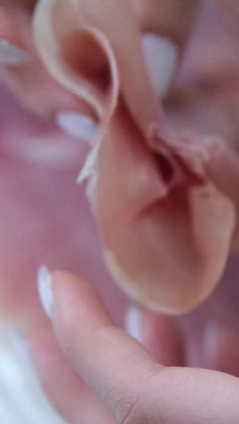 Plate of slices of white ham, close-up Jamon iberico tapas close up, chef Stock Footage 302107237