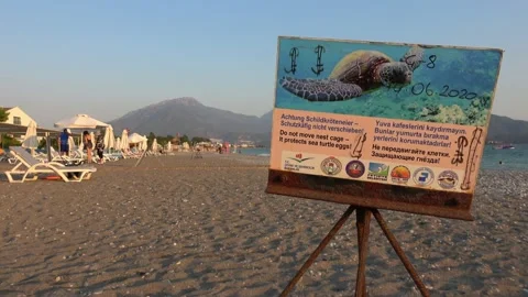 Plate on the turtle nest cage and tourists in the background Stock Footage 137360880