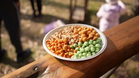 A plate with various beer nuts Stock Footage 238082340