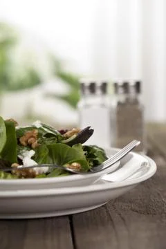 Plate of vegetable salad Stock Photos