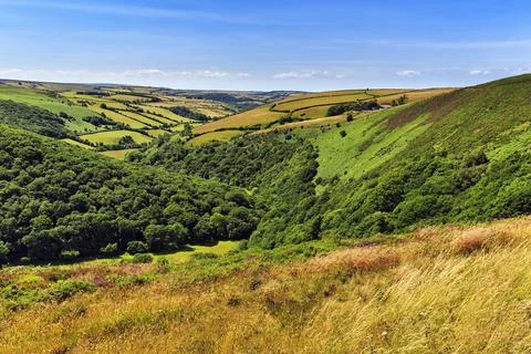 Plateau with valleys and fields typical landscape in Exmoor National Park Foto stock