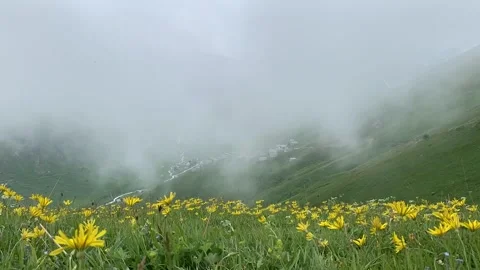 Plateaus and natural landscapes in Kackar Mountains National Park (7) Stock Footage 292095953