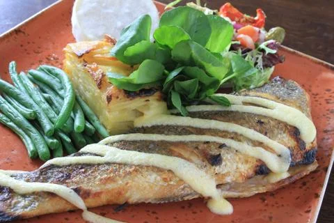 Plated fish dinner Stock Photos