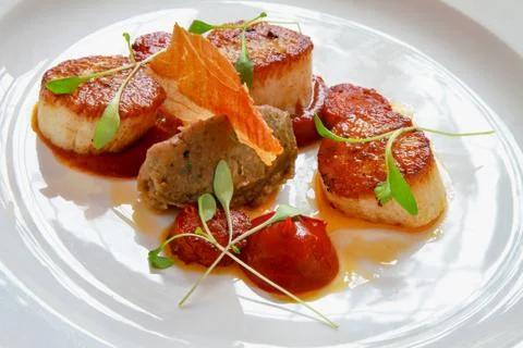 Plated scallop appetizer Stock Photos