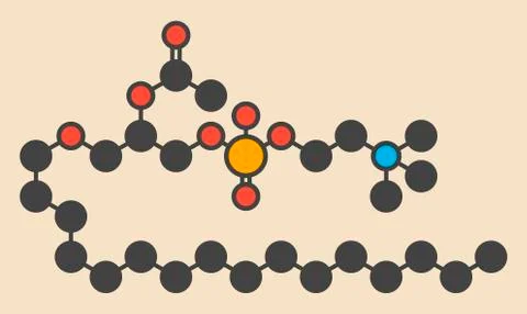 Platelet-activating factor molecule Illustrazione stock