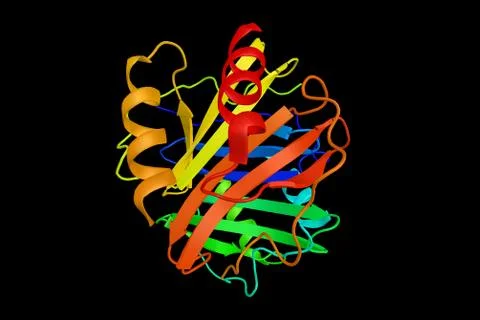 Platelet factor 4 (PF4), predicted to play a role in wound repair and infla.. Illustrazione stock