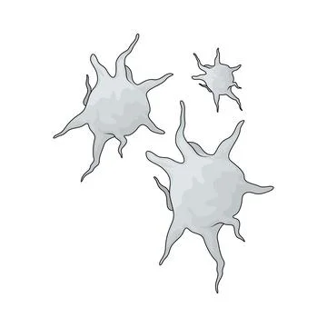 Platelet illustration Stock Illustration