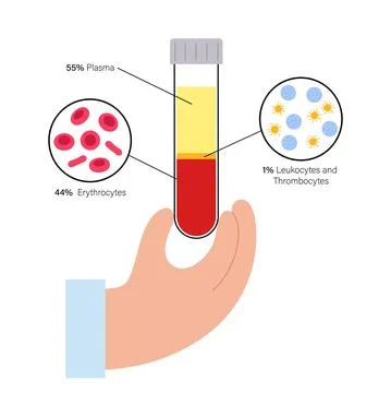 Platelet rich plasma concept Stock Illustration