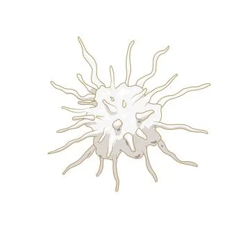 Platelet thrombocyte blood cell vector Illustrazione stock