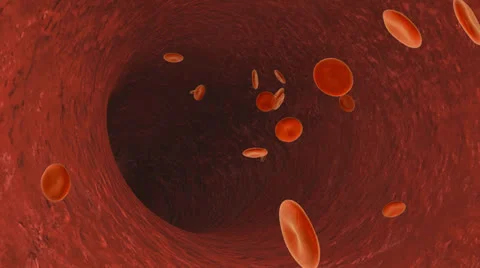 Platelets in a blood flow Stock Footage
