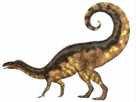 Plateosaurus Dinosaur Tail Stock Illustration