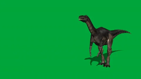 Plateosaurus Walking Forward FS Stock Footage 32846642