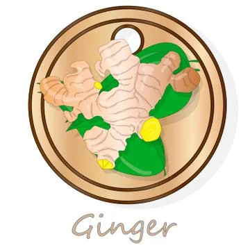 Plater with fresh ginger on white background illustration set. Vector. Stock Illustration