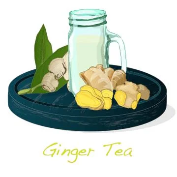 Plater with fresh ginger on white background illustration set. Vector. Stock Illustration