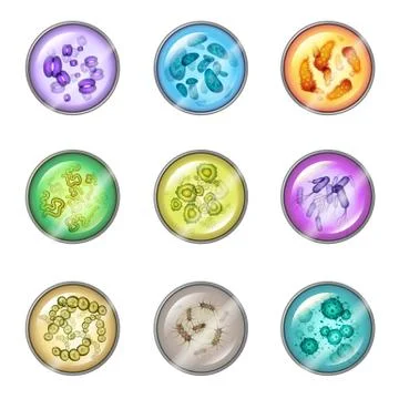 Plates with bacteria Stock Illustration