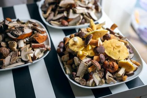Plates full of cleaned, sliced, colored mushrooms. Bay bolete, larch bolete, Stock Photos