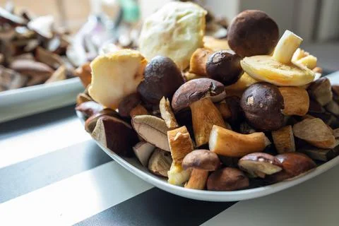 Plates full of cleaned, sliced, colored mushrooms. Bay bolete, larch bolete, Stock Photos