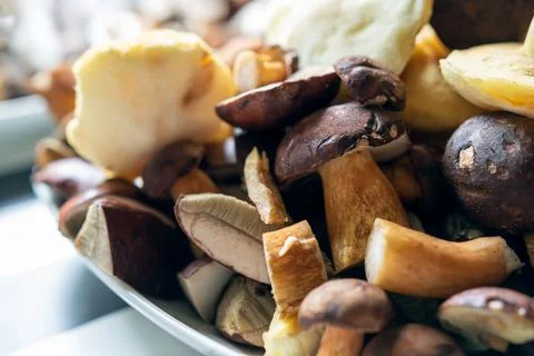 Plates full of cleaned, sliced, colored mushrooms. Bay bolete, larch bolete, Stock Photos