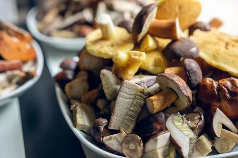 Plates full of cleaned, sliced, colored mushrooms. Bay bolete, larch bolete, Stock Photos