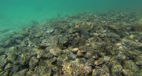 Plates out of alignment Stock Footage 42828702