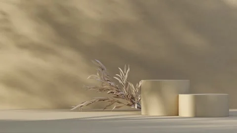 Platform-134 Stock Footage 277366915