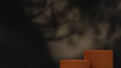 Platform-139 Stock Footage 277366943