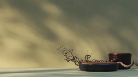 Platform-158 Stock Footage 277367219