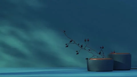 Platform-160 Stock Footage 277367230