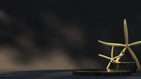 Platform-196 Stock Footage 277521106