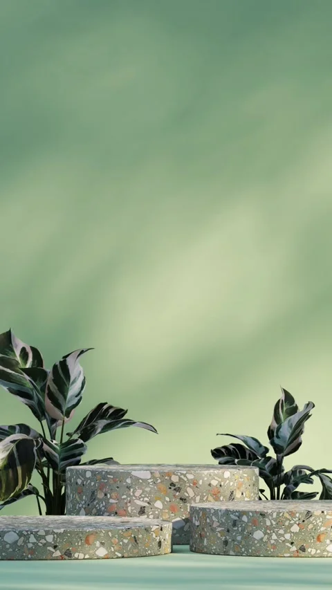 Platform-2-vertical Stock Footage 278548203