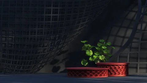 Platform-203 Stock Footage 277543746