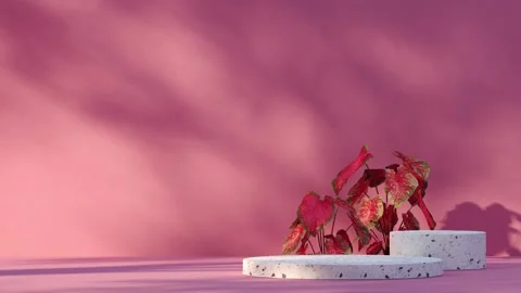 Platform-3 Stock Footage 277365048