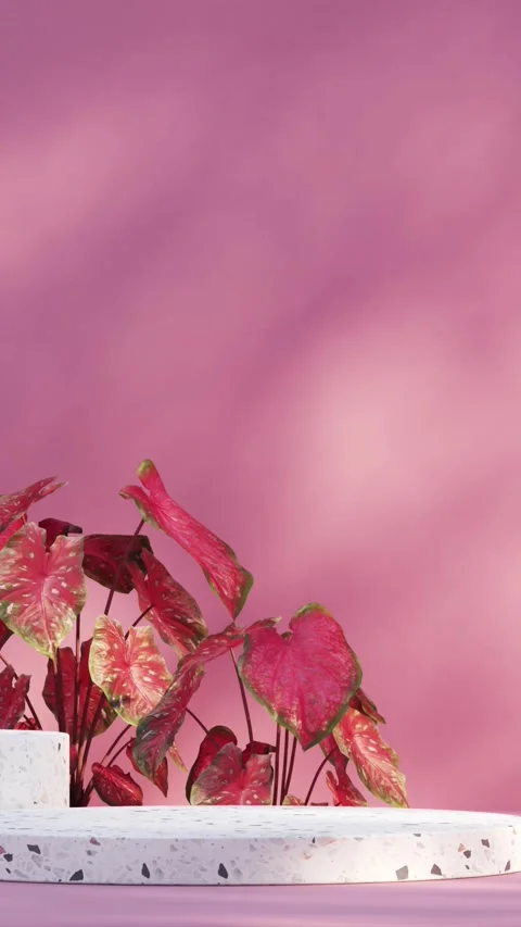 Platform-3-vertical Stock Footage 278548202