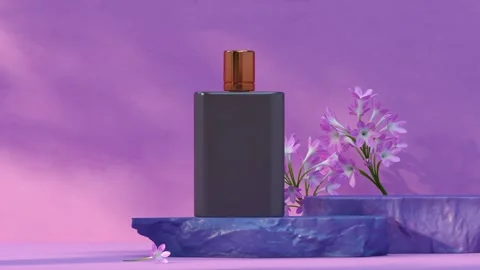 Platform-36-2 Stock Footage 278369024