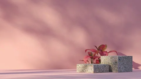 Platform-4 Stock Footage 277365043