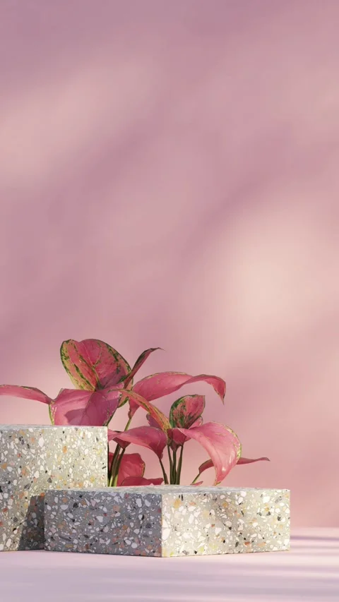 Platform-4-vertical Stock Footage 278548200