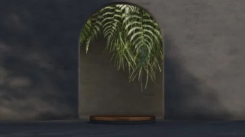 Platform-72 Stock Footage 277365908