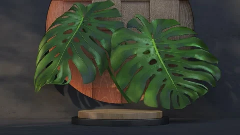 Platform-99 Stock Footage 277366598