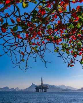 Platform for the exploration of the oil industry. Stock Photos