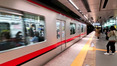 Platform shot of crowd of passenger boarding train on Tokyo Metro Hibiya Line Stock-Footage 189490188